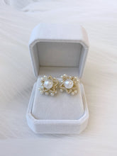 Load image into Gallery viewer, Wish 2-Style Earrings