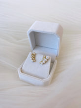 Load image into Gallery viewer, Laura Earrings