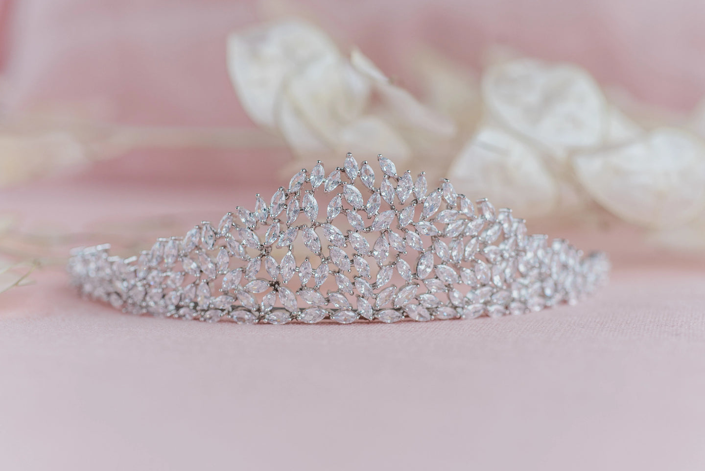 Meghan | Sugarcane & Co.